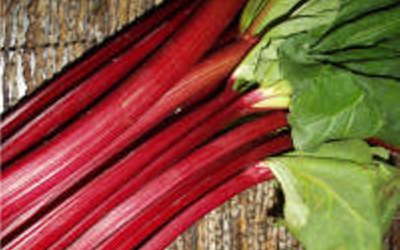 Rhubarb&#146;s best when it&#146;s red