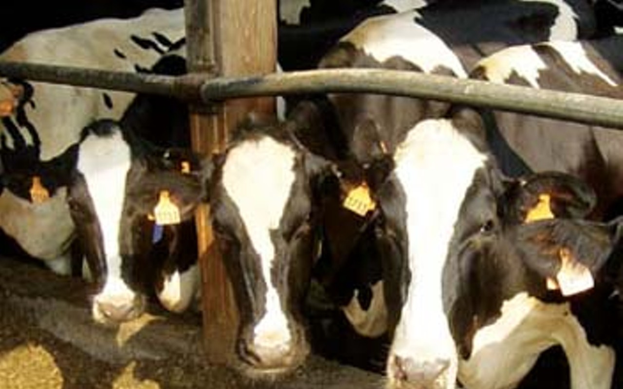 IEPA vows to step up factory farm enforcement