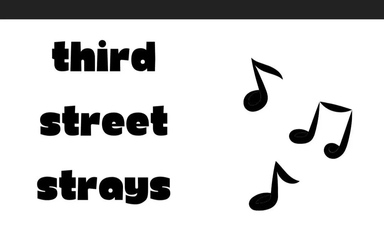 Image: 3rd Street Strays