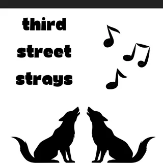 Image: 3rd Street Strays