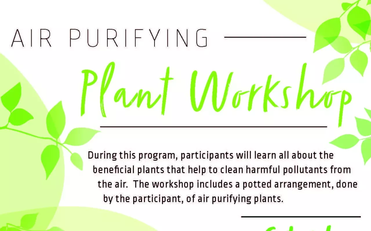 Image: Air Purifying Plant Workshop
