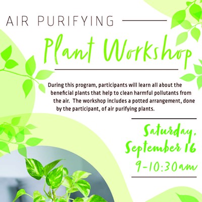 Air Purifying Plant Workshop