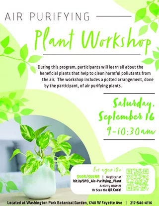 Image: Air Purifying Plant Workshop