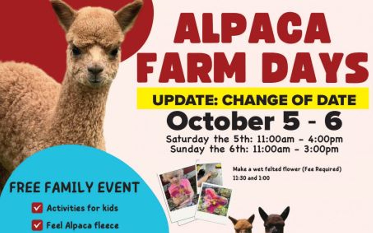 Alpaca Farm Days