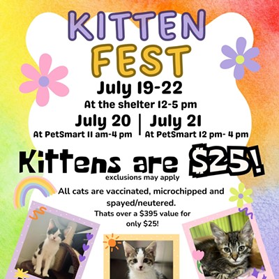 APL KittenFest