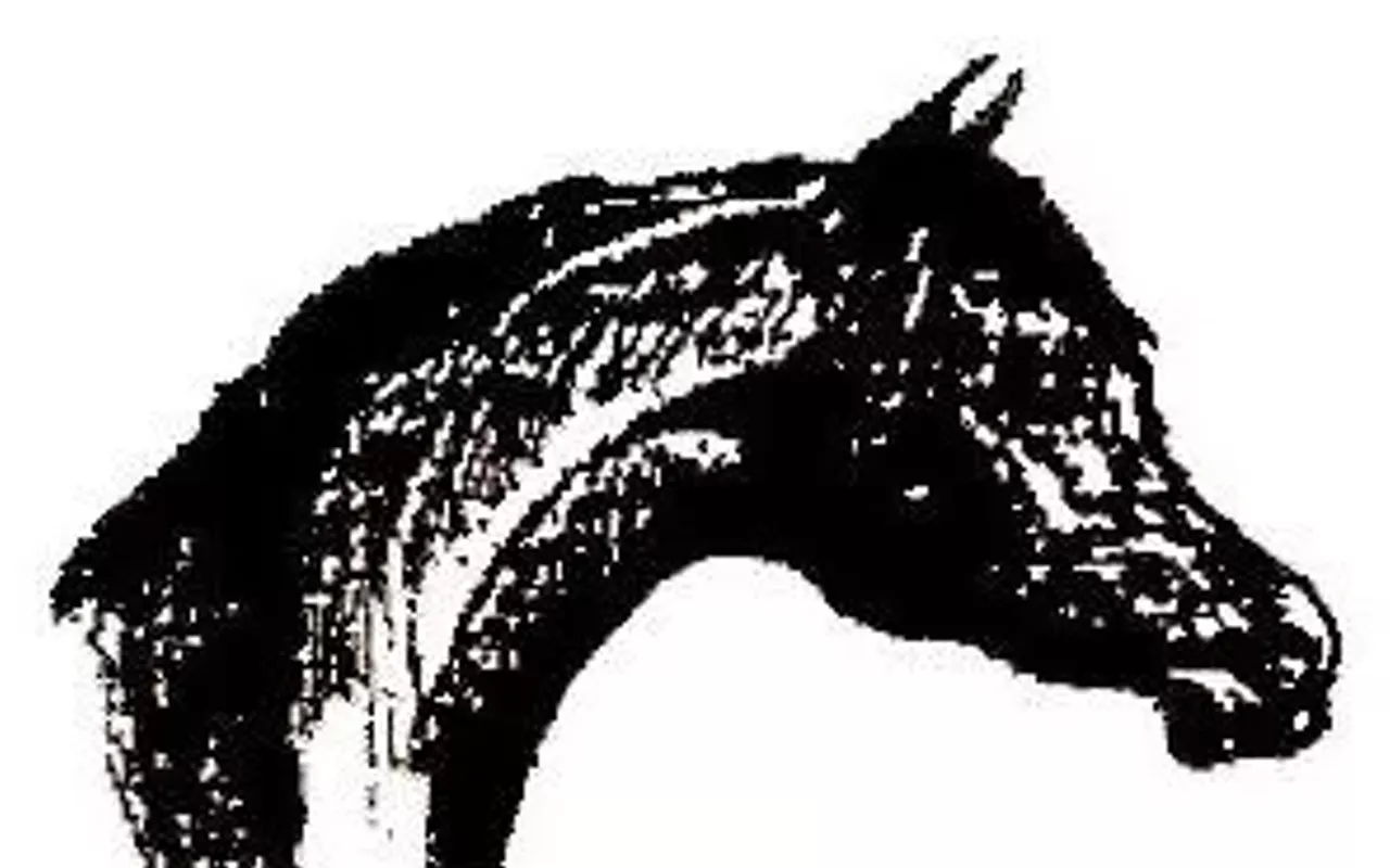 Image: Arabian Horse Value Show