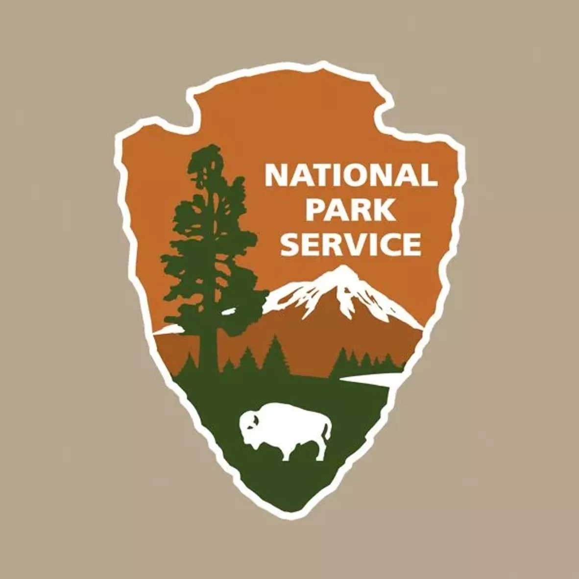 nps.webp