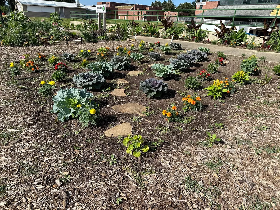 Master Gardener demonstration garden