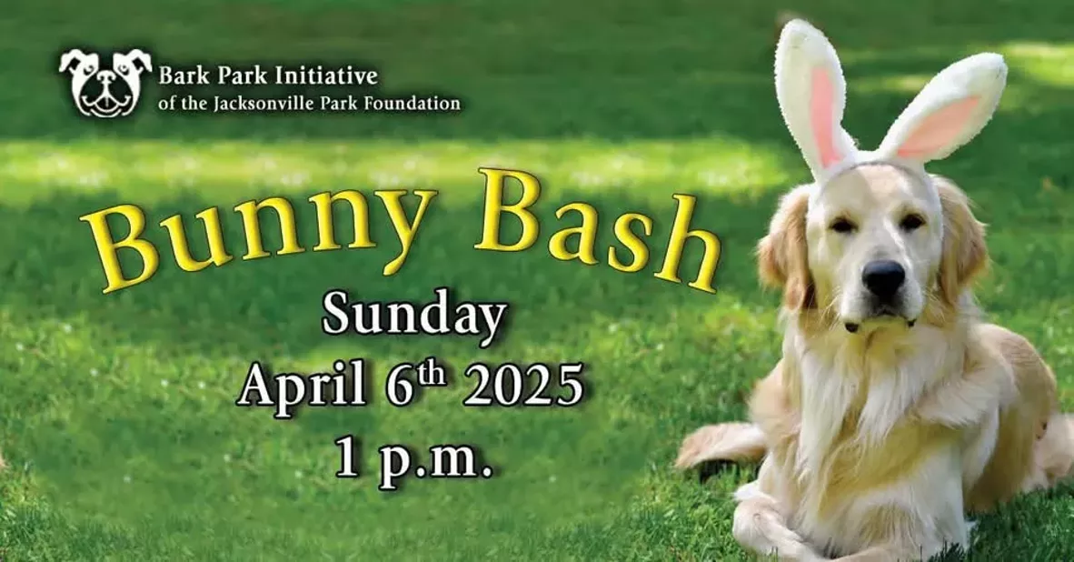 bunny_bash.webp