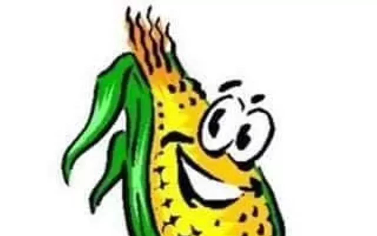 Image: Chatham Jaycees Sweet Corn Festival