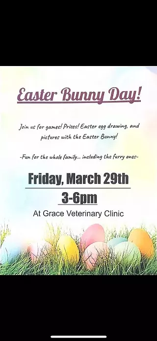Image: Easter Bunny Visit