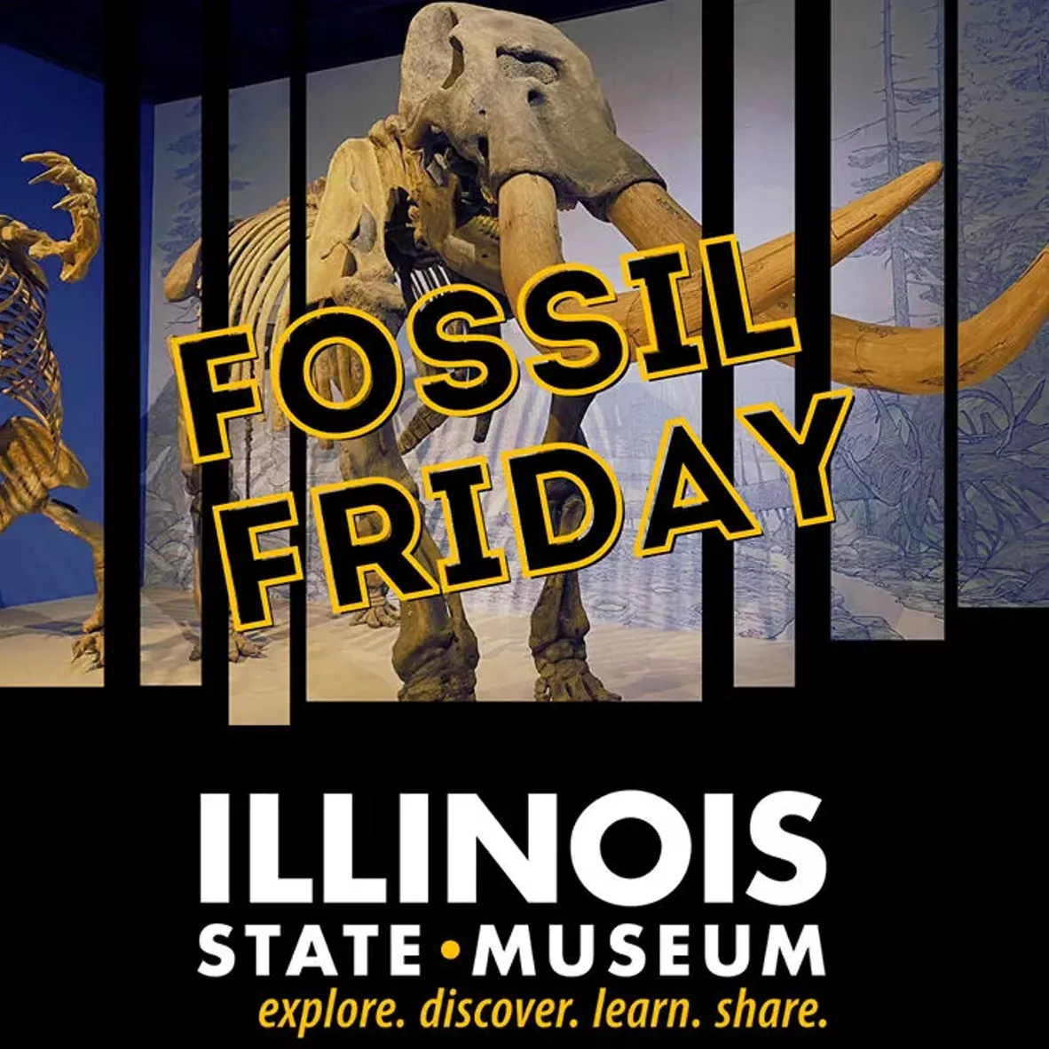 fossil_friday-2.webp