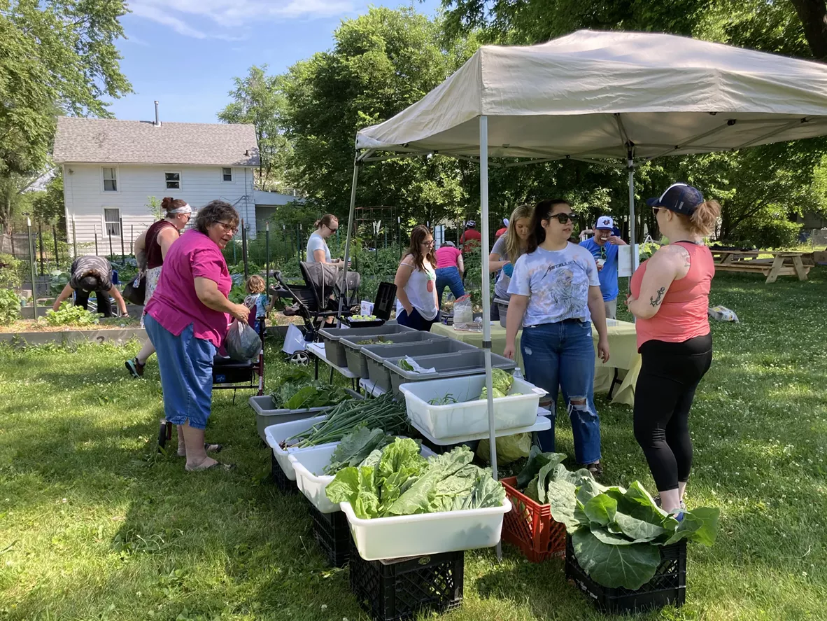 free_farmers_market-2.webp