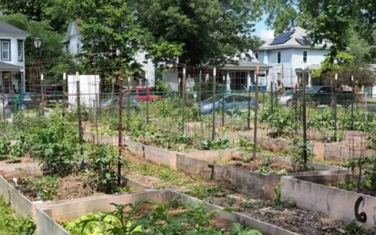 Image: How to Start A Community Garden in Your Neighborhood