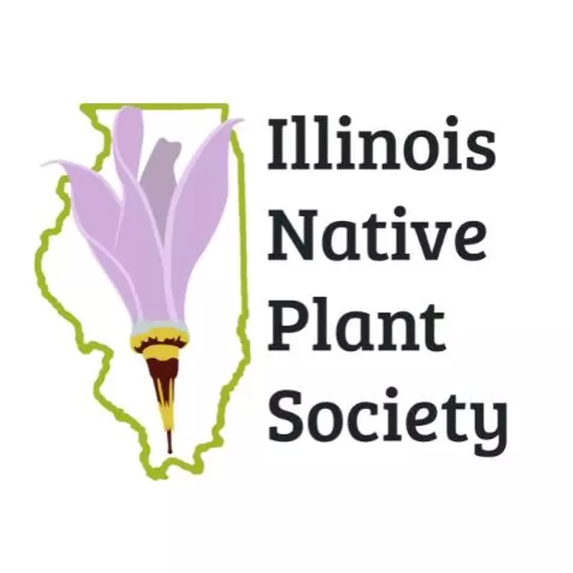 illinois_native_plant.webp