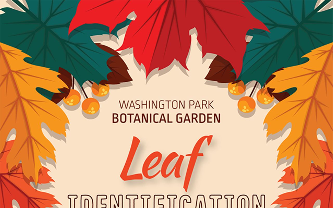 Leaf Identification Hikes