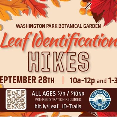 Leaf Identification Hikes