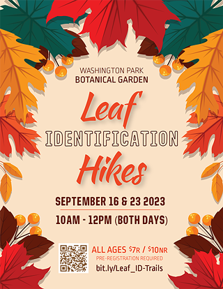 Image: Leaf Identification Hikes