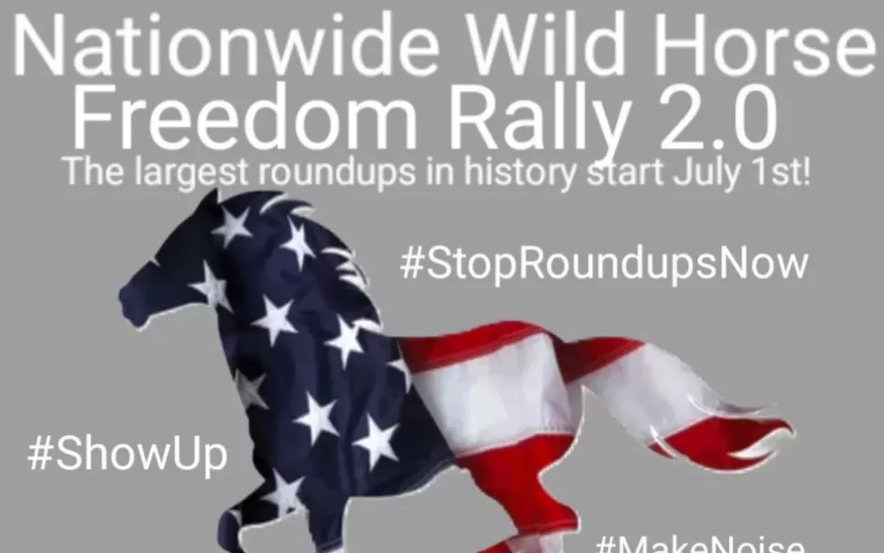 Image: Nationwide Wild Horse Freedom Rally Illinois