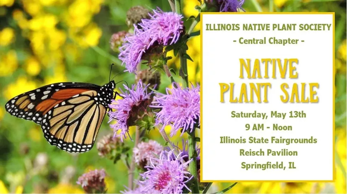 native_plants.webp
