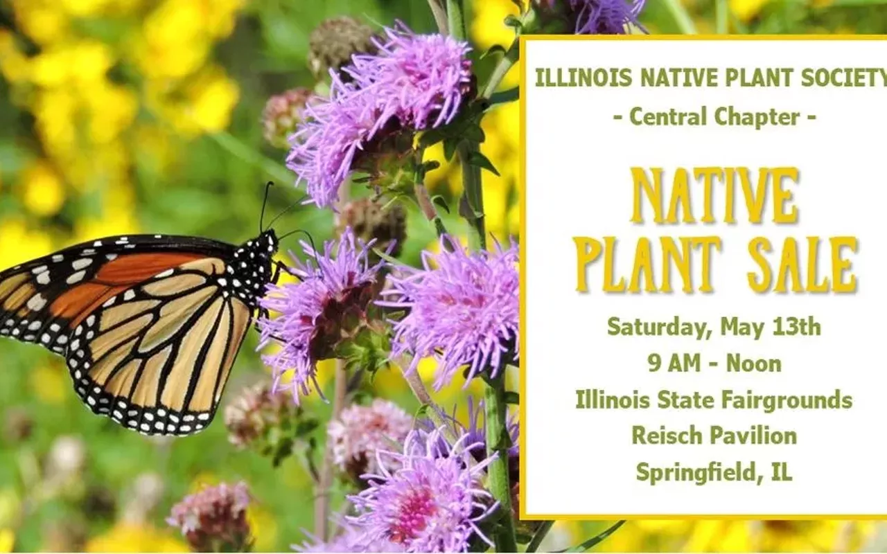 Image: Native Plant Sale