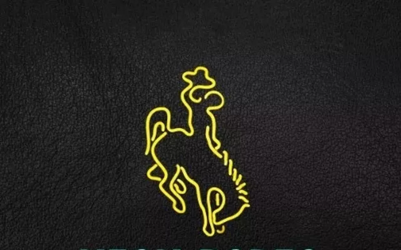 Image: Neon Rodeo
