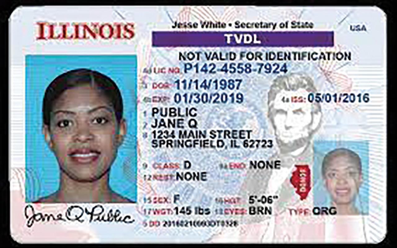 Noncitizen driver's licenses
