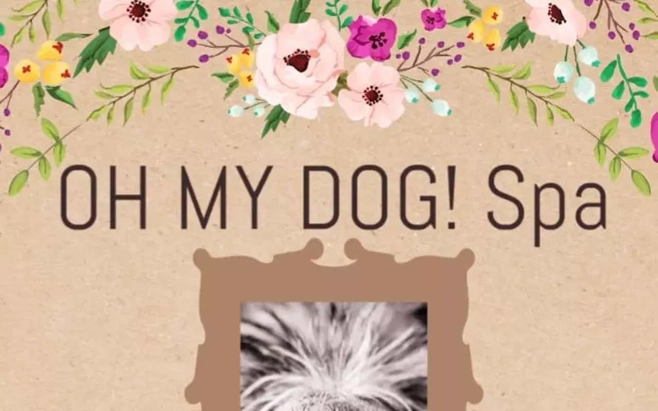 Image: OH MY DOG Spa