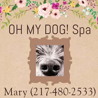 Image: OH MY DOG Spa
