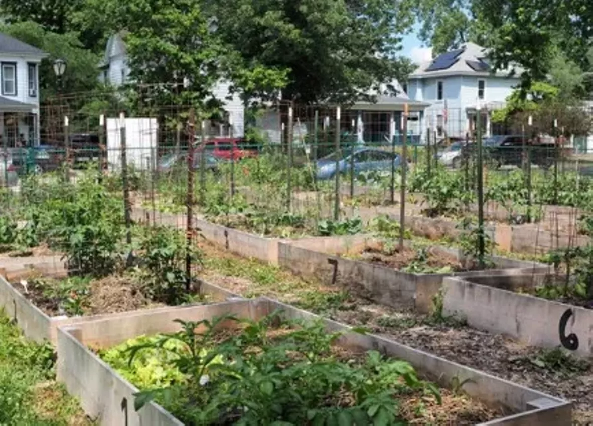 enos_park_neighborhood_gardens.webp