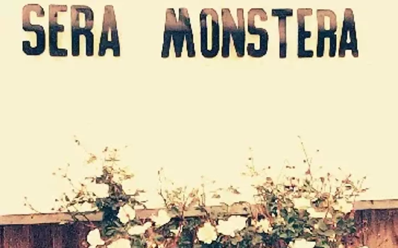 Image: SERA MONSTERA