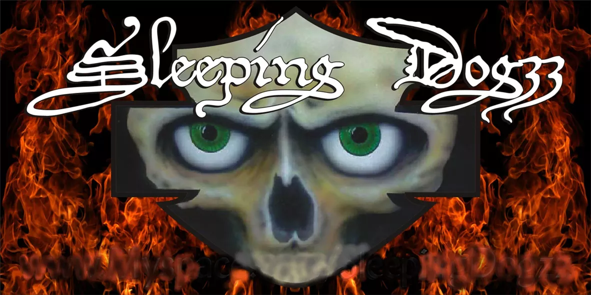 banner_layout_sleeping_dogzz.webp