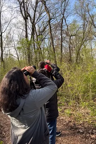 Image: Spring Migration Bird Hikes