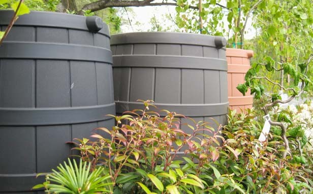 Conserve water with rain barrels