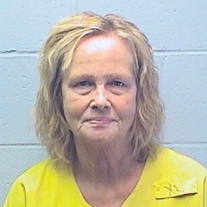Woman who stole from elderly goes to prison