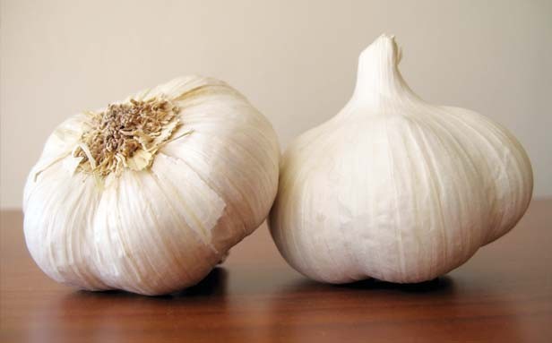 The goodness of young garlic