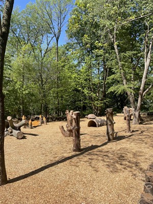 Children’s Woodland Garden to open this summer