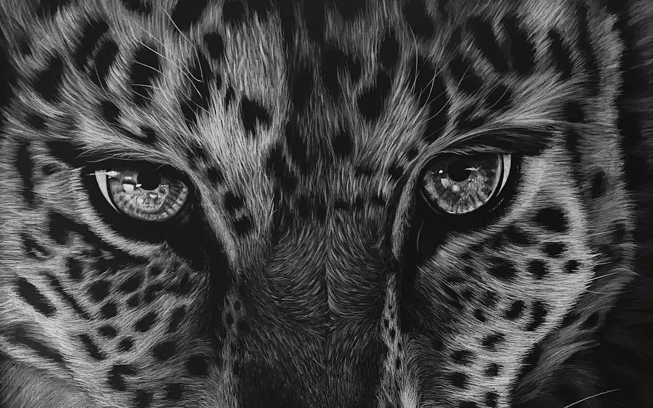 Image: Underground presents Animalia