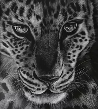 Image: Underground presents Animalia