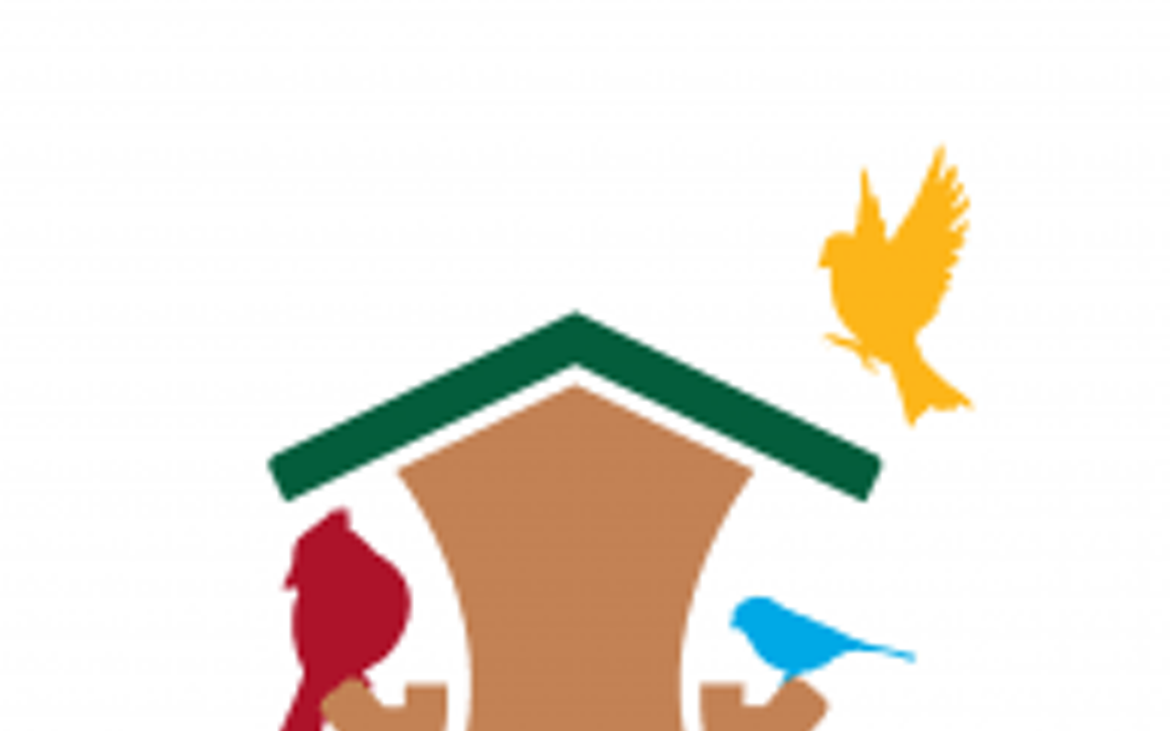 Image: Winter Bird Feeding Solutions